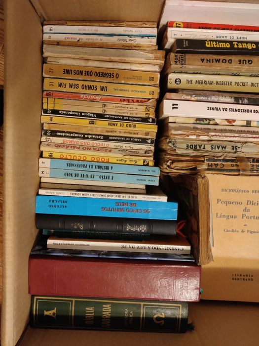 Lote 50+ livros - anos 70/80/90/00