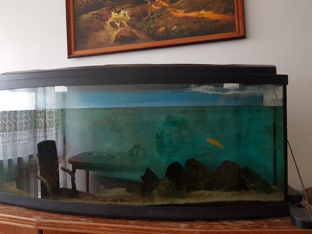 Akwarium   panoramiczne 240 litry
