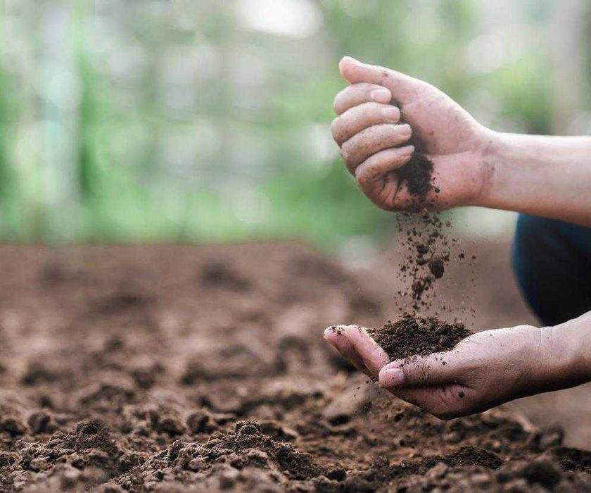 Ziemia ogrodowa, do ogrodu, humus transport