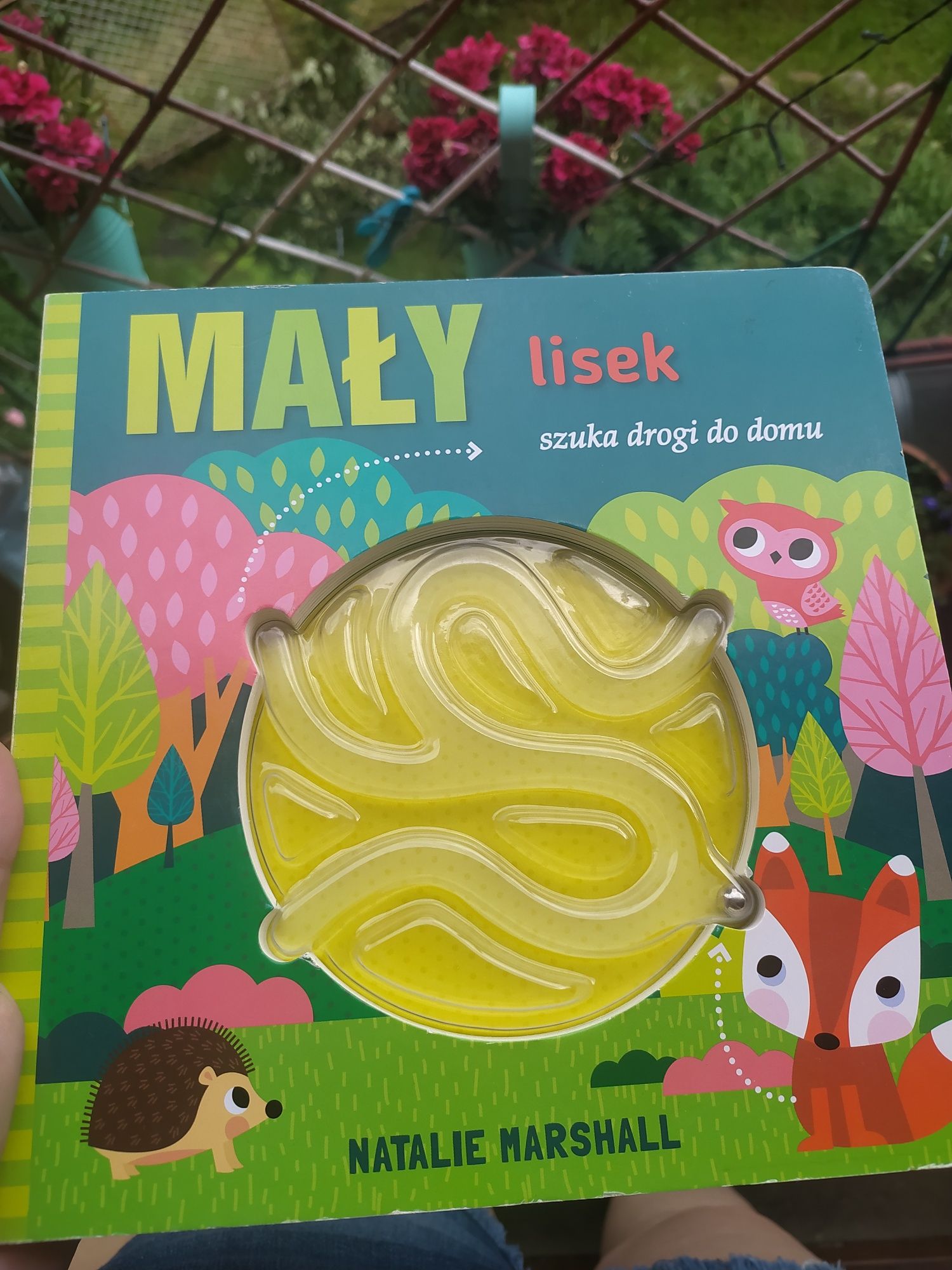 Mały lisek szuka drogi do domu