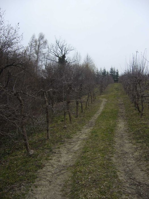 Szczyrzyc Janowice - działka rolno-leśna z potencjałem budowlanym
