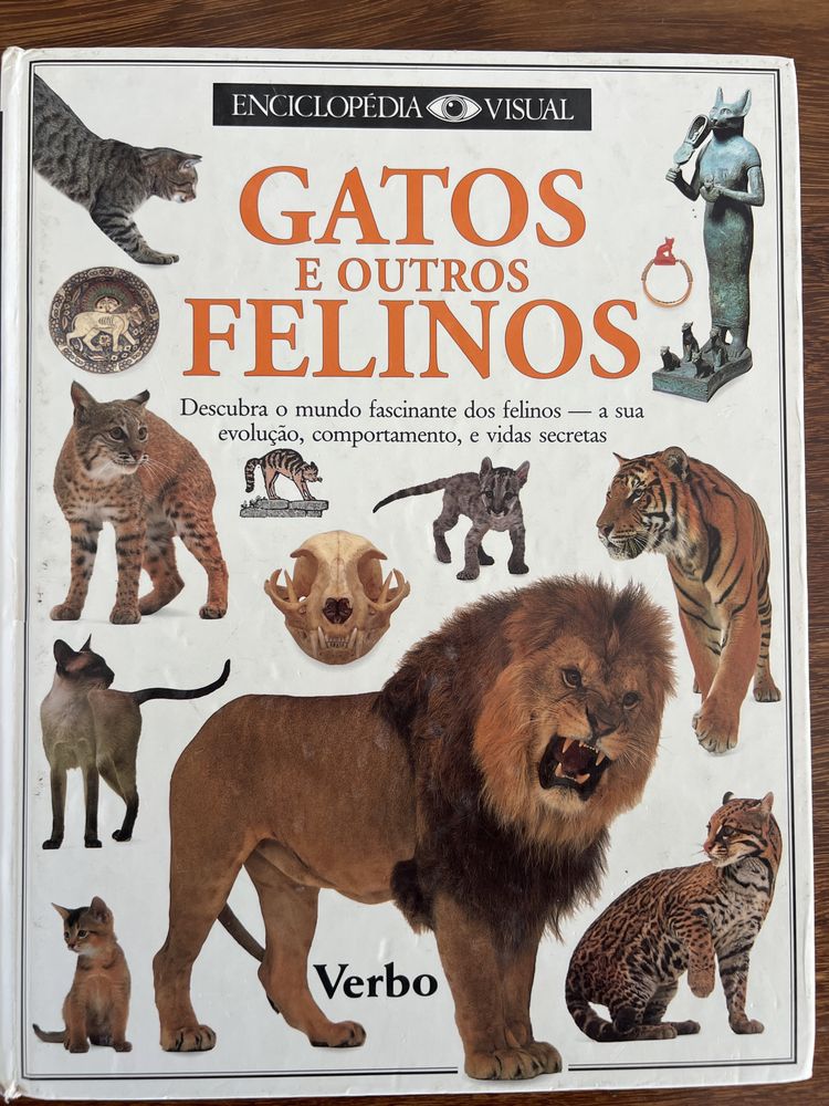 Enciclopedia Visual Verbo 32