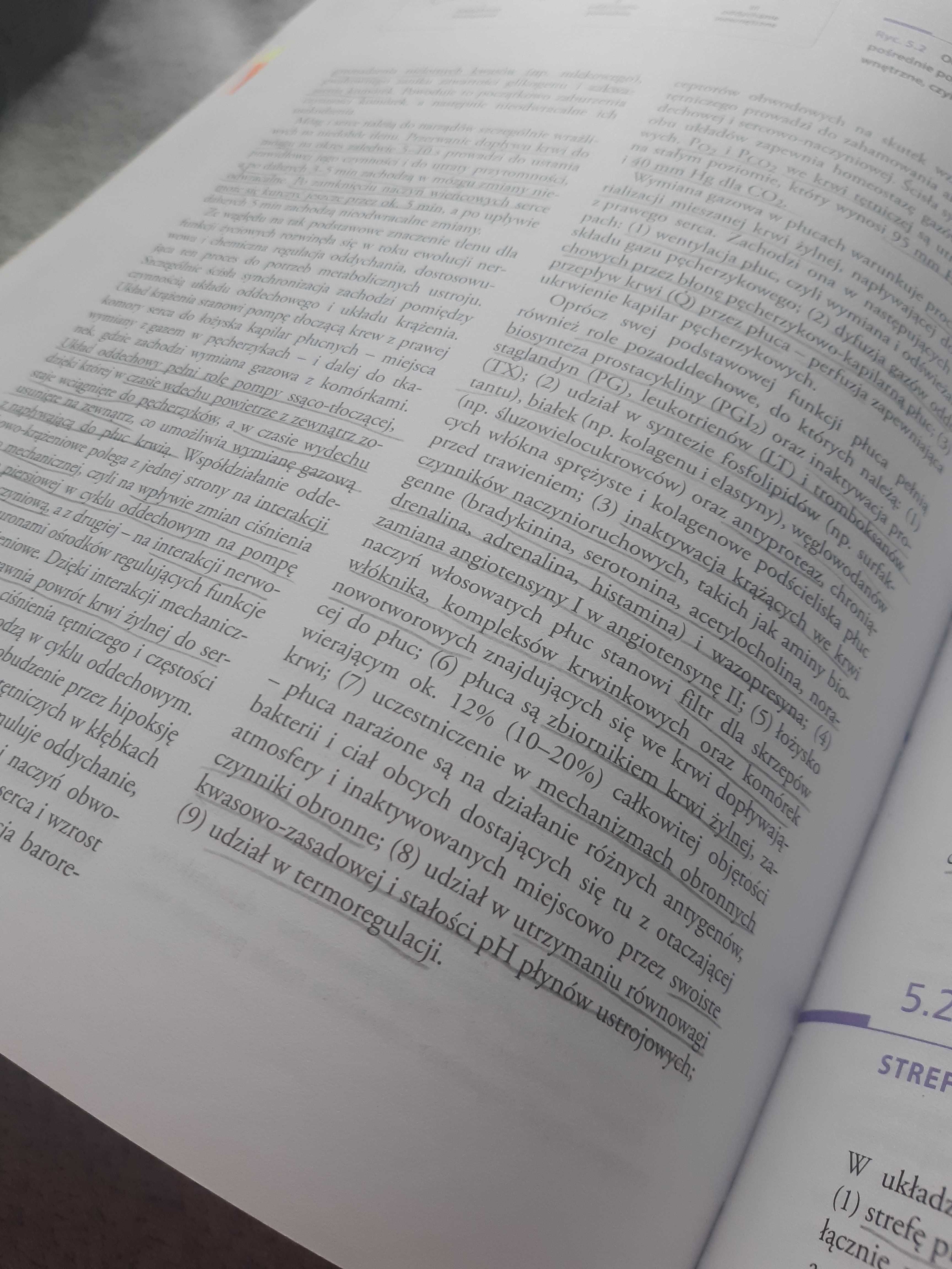 Fizjologia Konturek