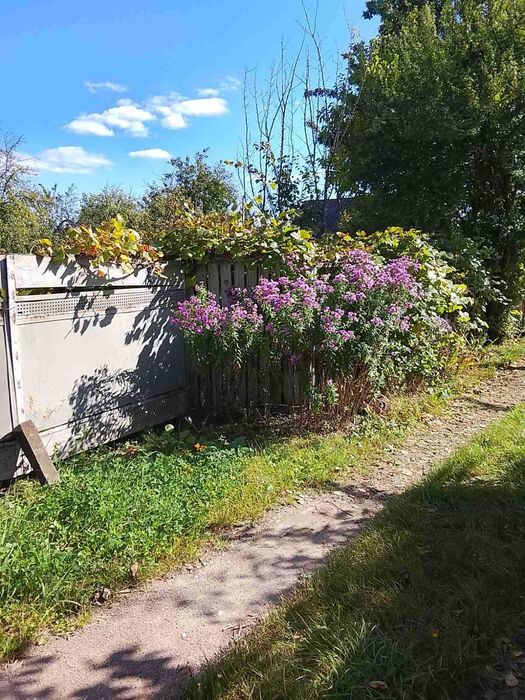 Продам дачу в  Соколовському масиві