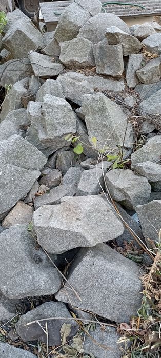 Продам   Бут. Самовивіз