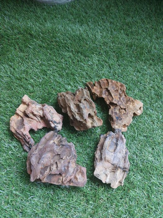 Plantas para Aquário