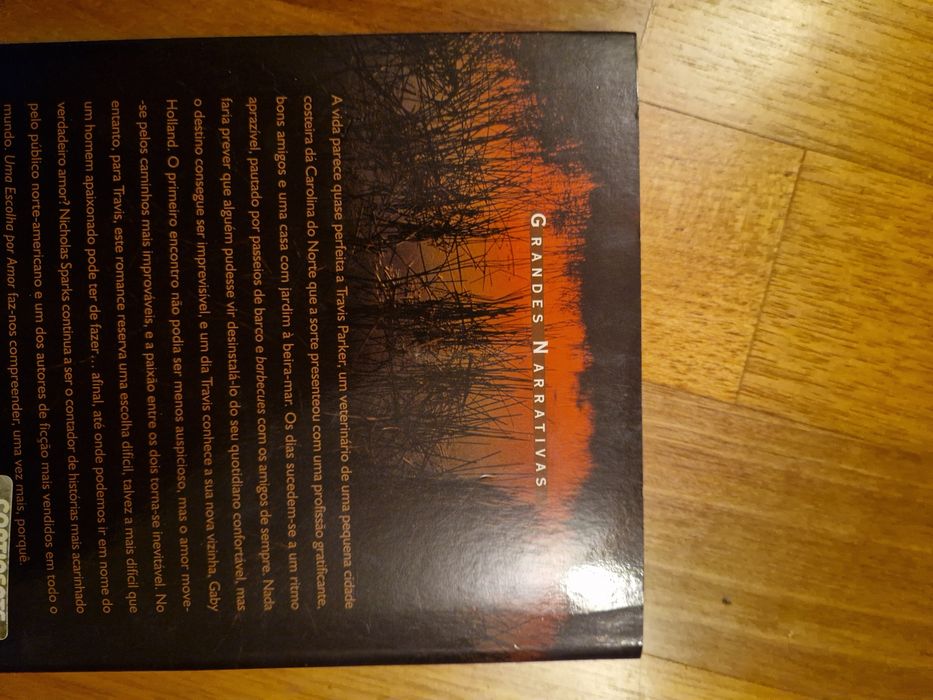 Livro Uma Escolha por Amor