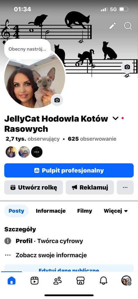 Kotka Ragdoll , rodowod FPl.