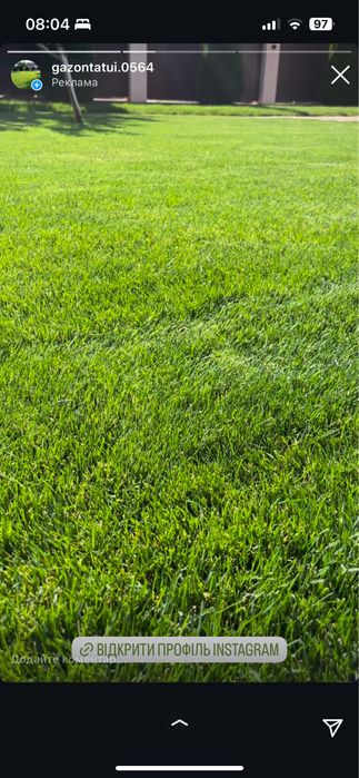 Садівник| Газон | Стрижка хвойних. Обрізка дерев