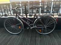 Rower miejski Gironelli 28 cali