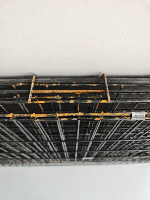 Gaiola para cão usada