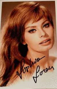 Sophia Loren - oryginalny autograf 10x15 cm
