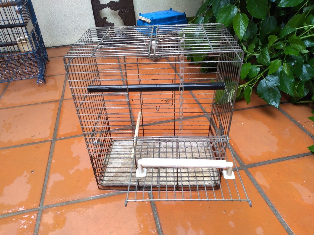 Gaiola com abertura para pássaro domesticado