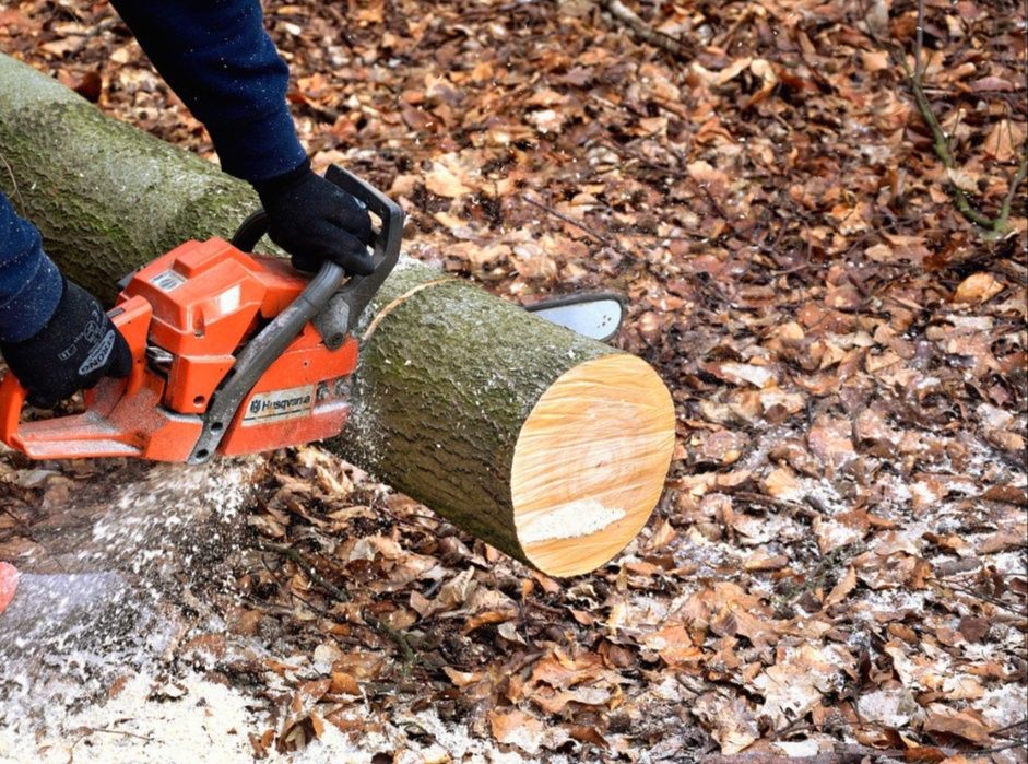 Cięcie drewna piłą spalinową i inne prace