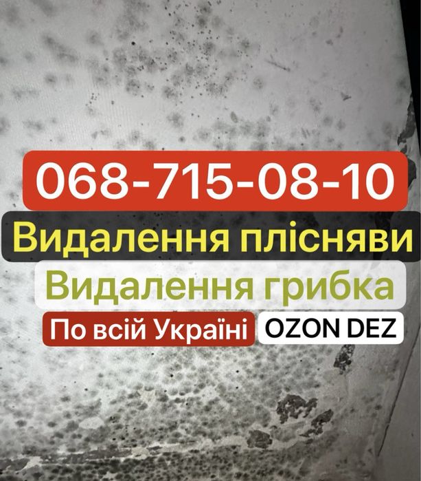 ‼️Видалення грибка Видалення плісняви з корнями під ключ с гарантіею