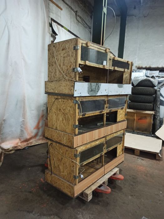 Брудера для циплят