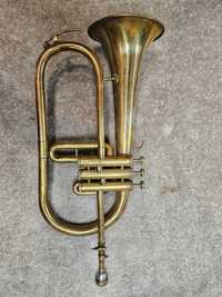 Flugelhorn Polmuz