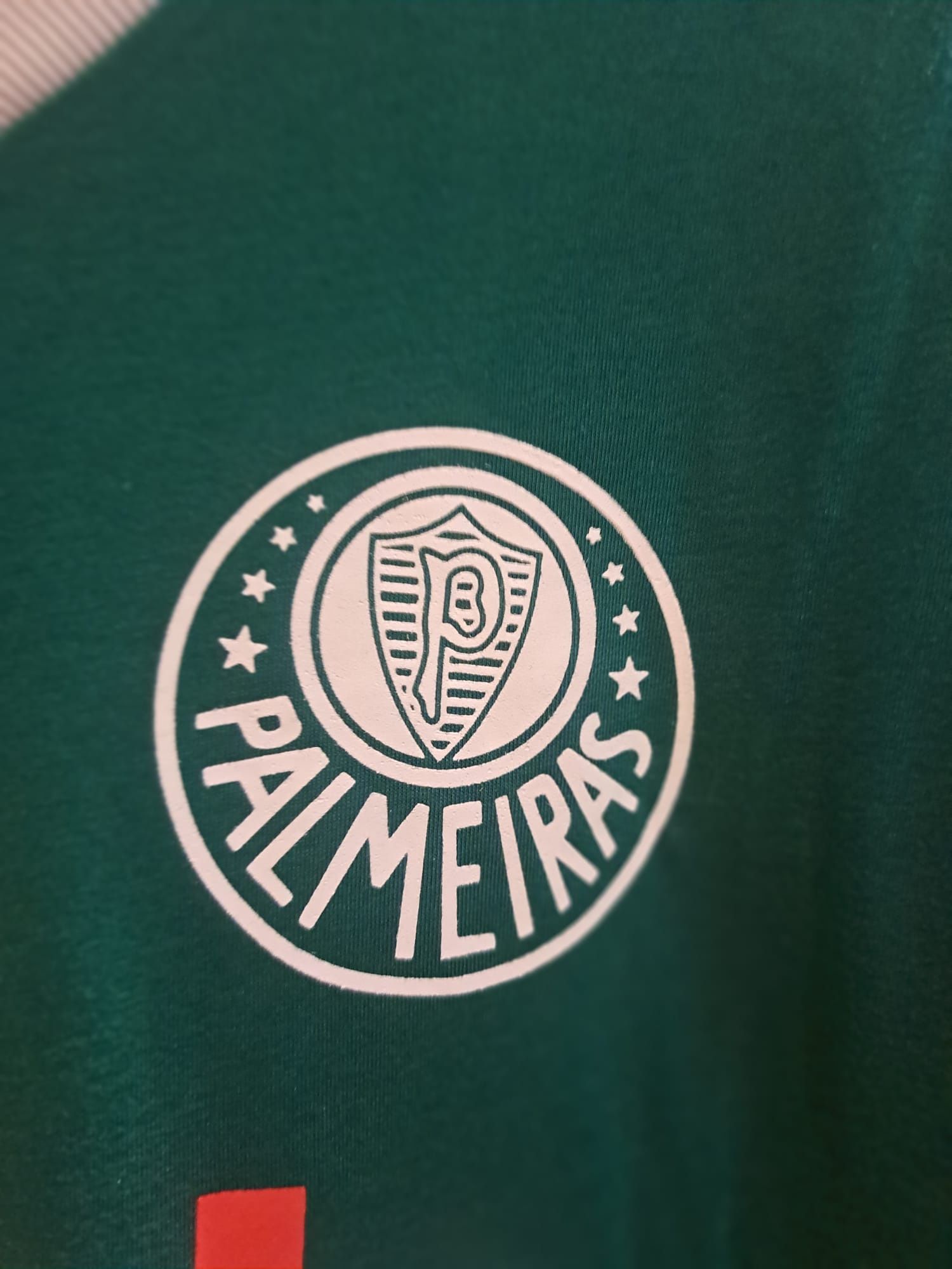 Camisola retro Palmeiras