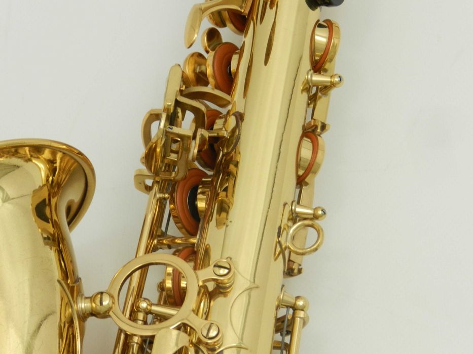 Saksofon altowy Trevor James Revolution DR22-028