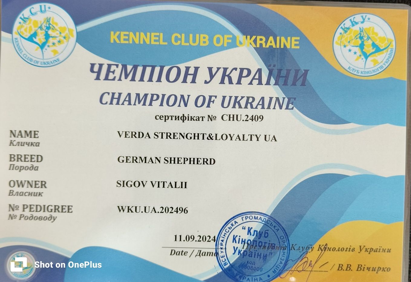 Цуценя дівчинка  (4,5 місяці) німецької вівчарки від ЧЕМПІОНІВ
