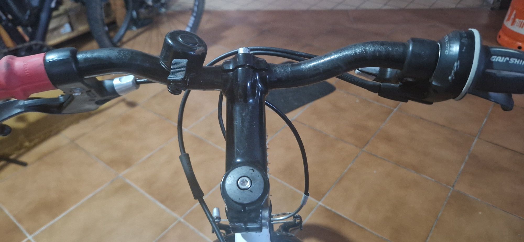 Bicicleta  adolescente