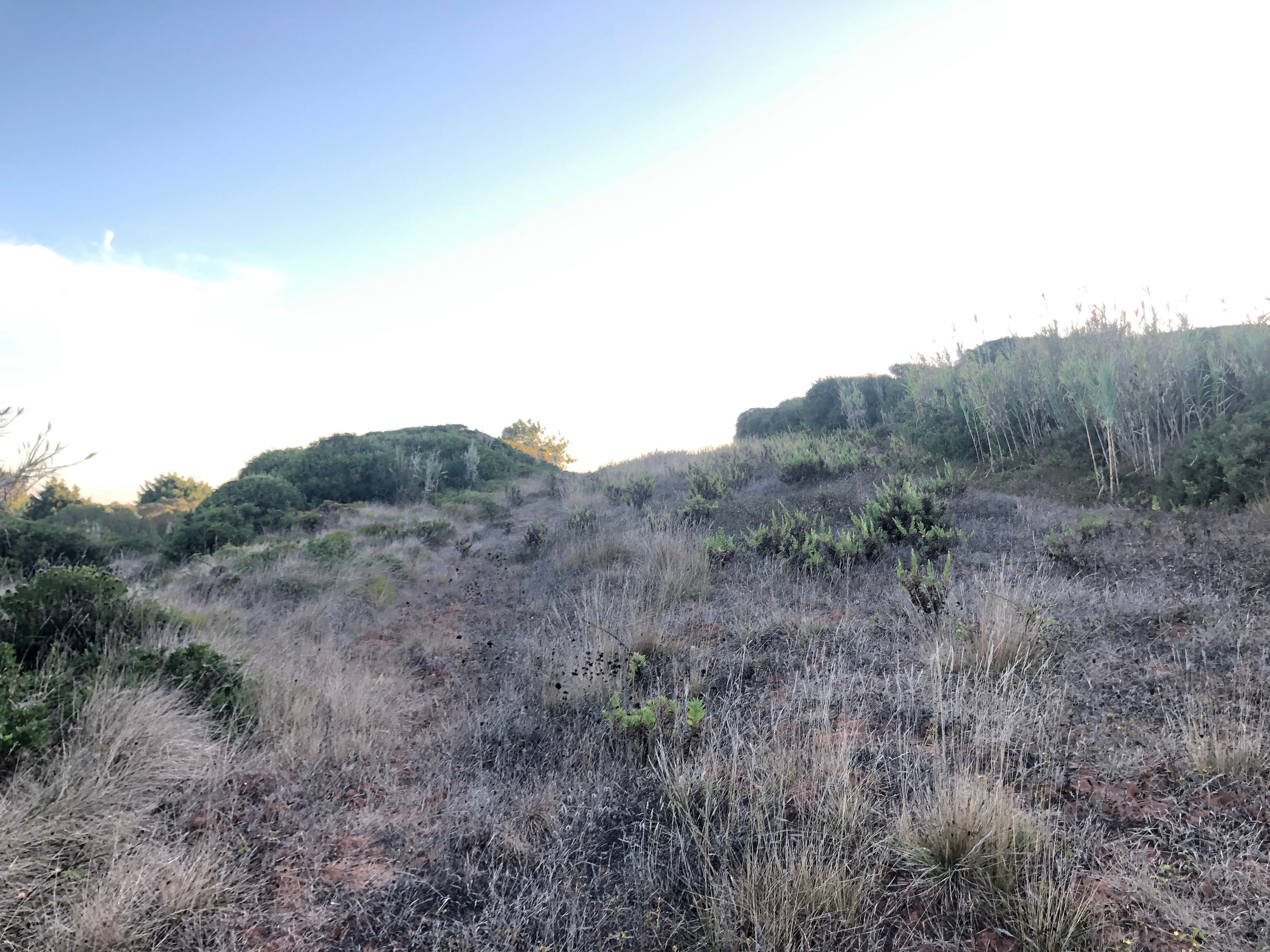 Vendo terreno com vista mar