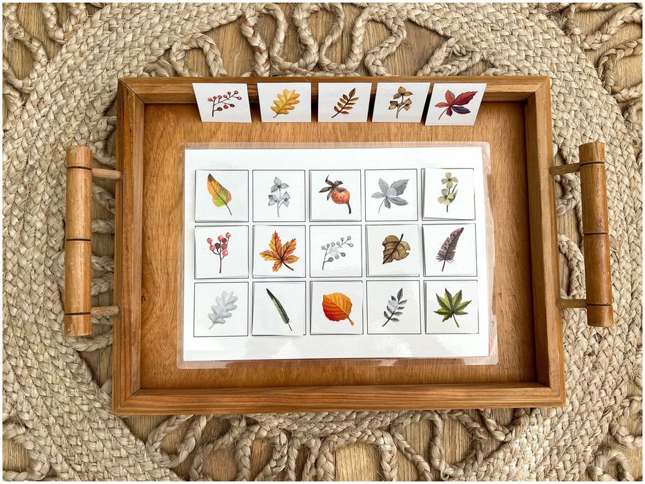 Encontra a minha sombra - Folhas