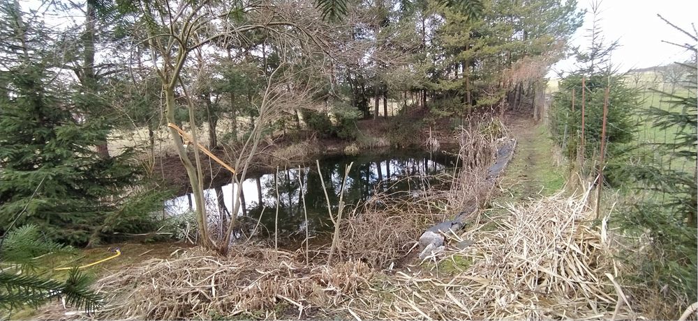 Usługi ogrodnicze-koszenie trawy, pomoc w ogrodzie i inne prace