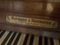 Pianino Schuppe & Neumann zabytek