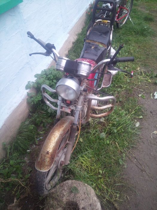 Продам альфу взборі .