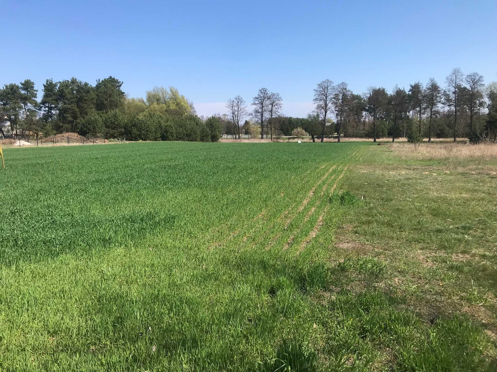 Działka rolno-budowlana