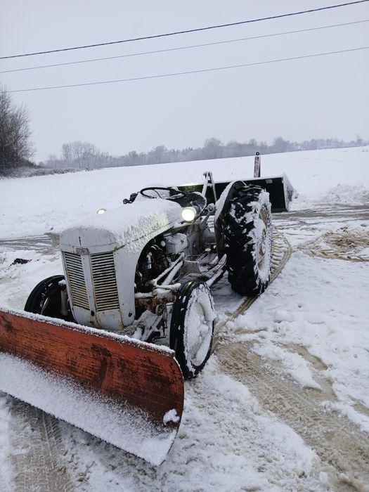 Ciagniki mf tea 20 sprowadzony