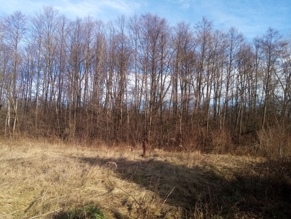 Продається земельна ділянка в дачному кооперативі