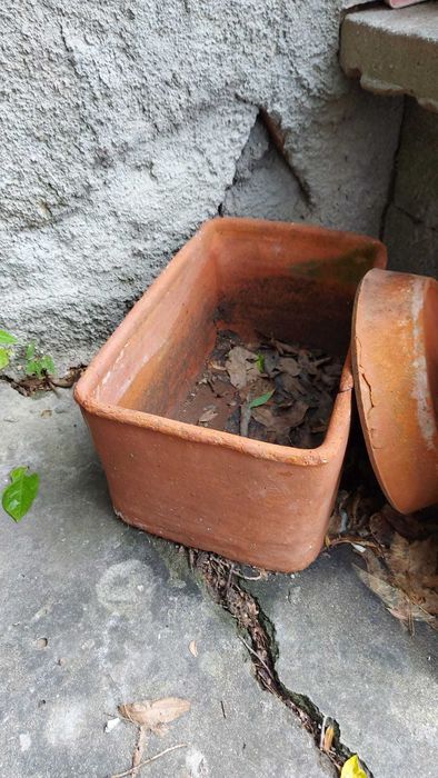 Vasos de barro variados