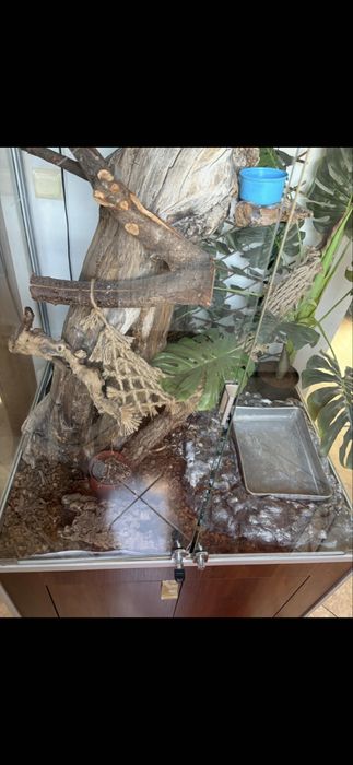 Duże terrarium 80/100/180 dla Węża Legwana itp ki
