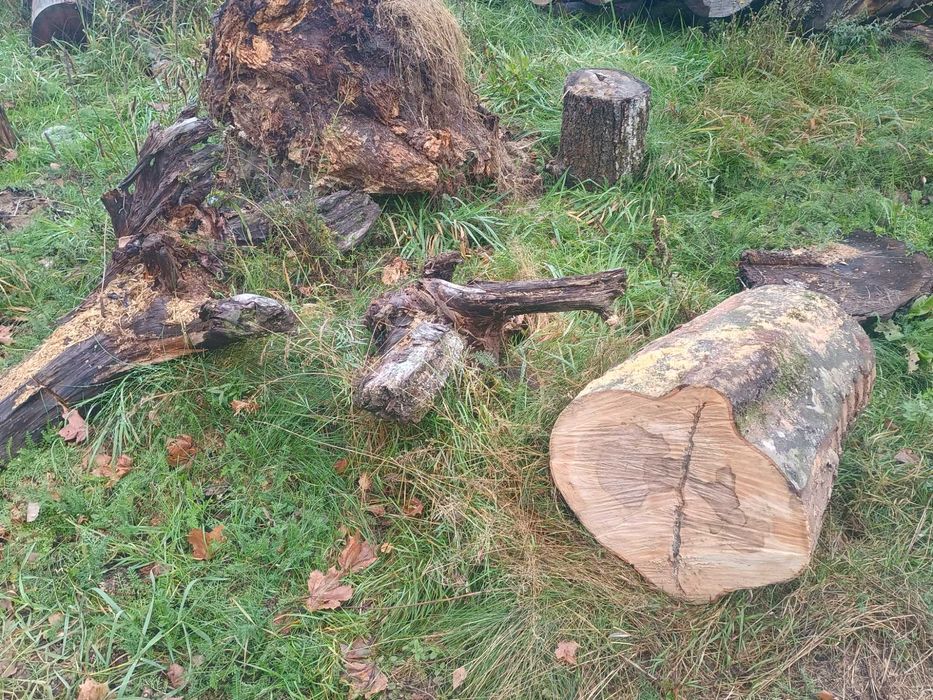 Plastry ,pieńki, podstawki pod donice,świeczniki z drewna.Cena od 5 zł