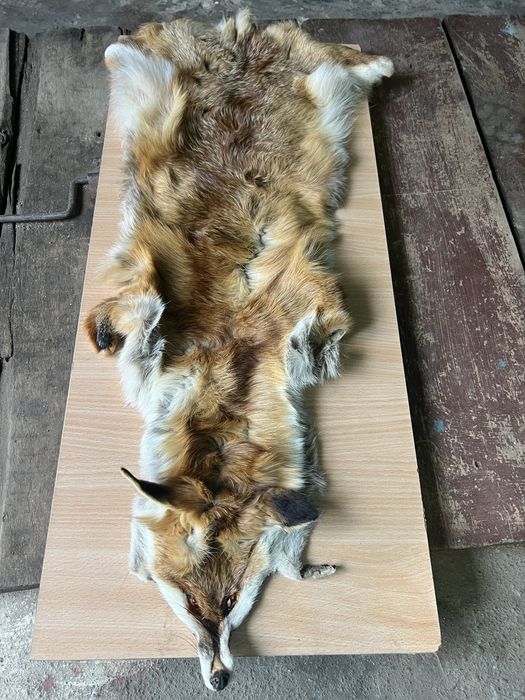 Хутро лисиці