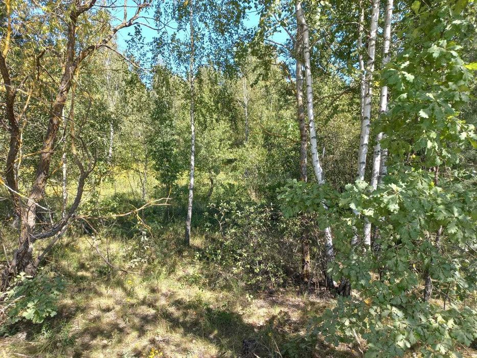 Продаж ділянки 10сот під садівництво. Фасад - 25м, с.Улянівка. ID:745