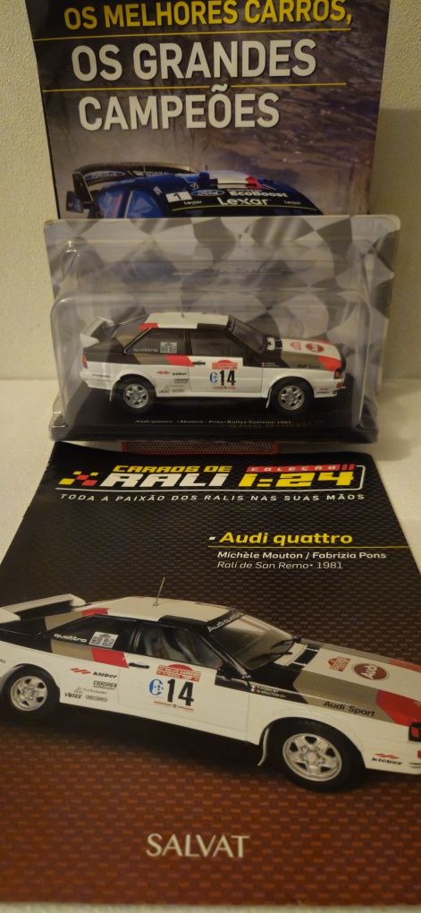 Varias Miniatura rally 1/24