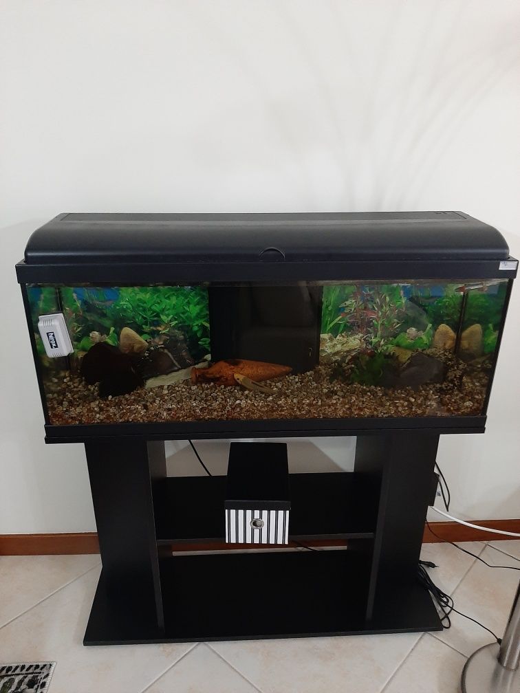 Vendo aquário com móvel