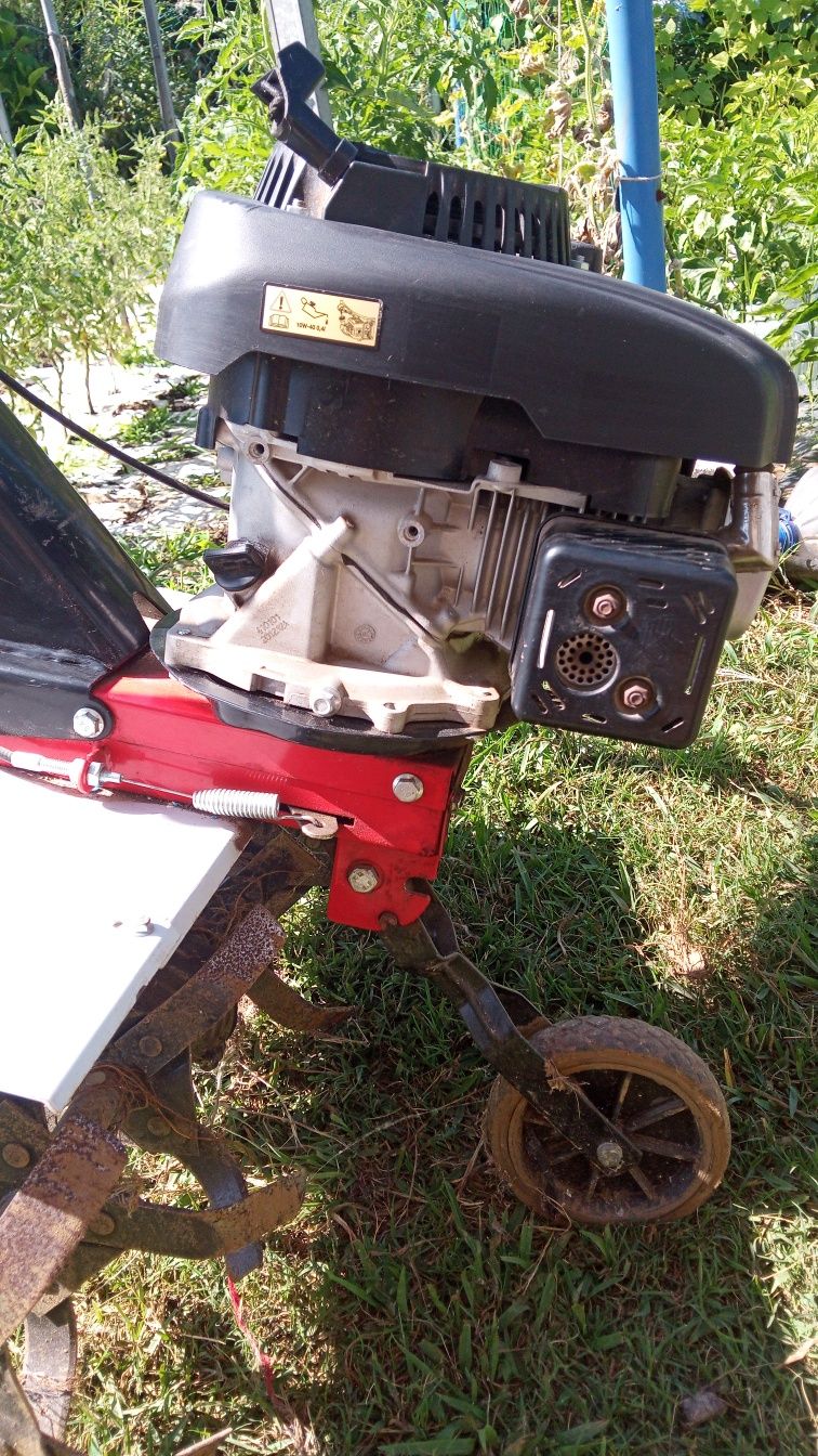 Moto enchada Starwins TI60