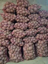 Ziemniaki Vineta, Bellarosa