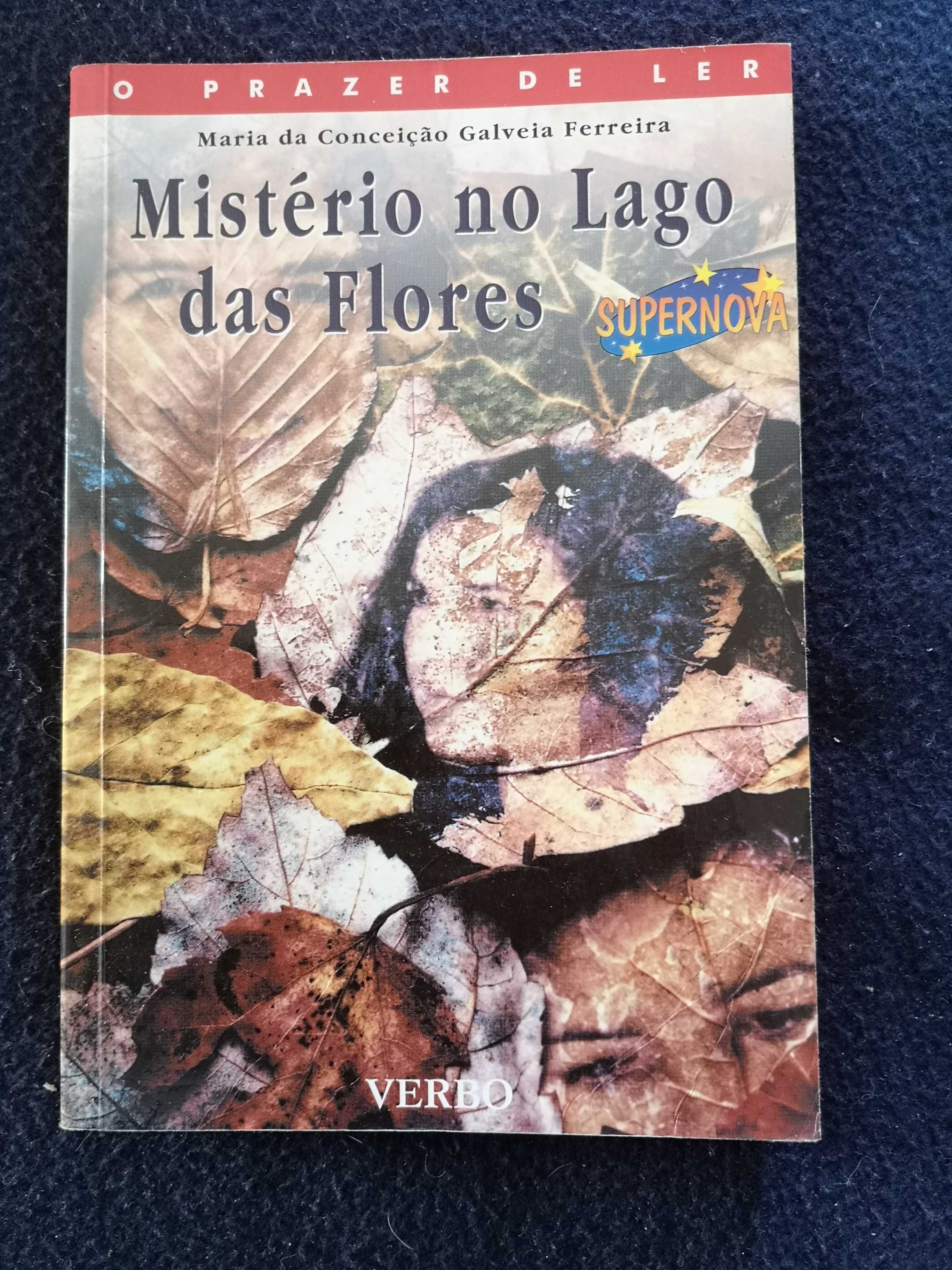 Diversos Livros (Individual ou Lote)