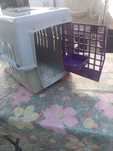 Transportadora cão/ gato/ coelho etc