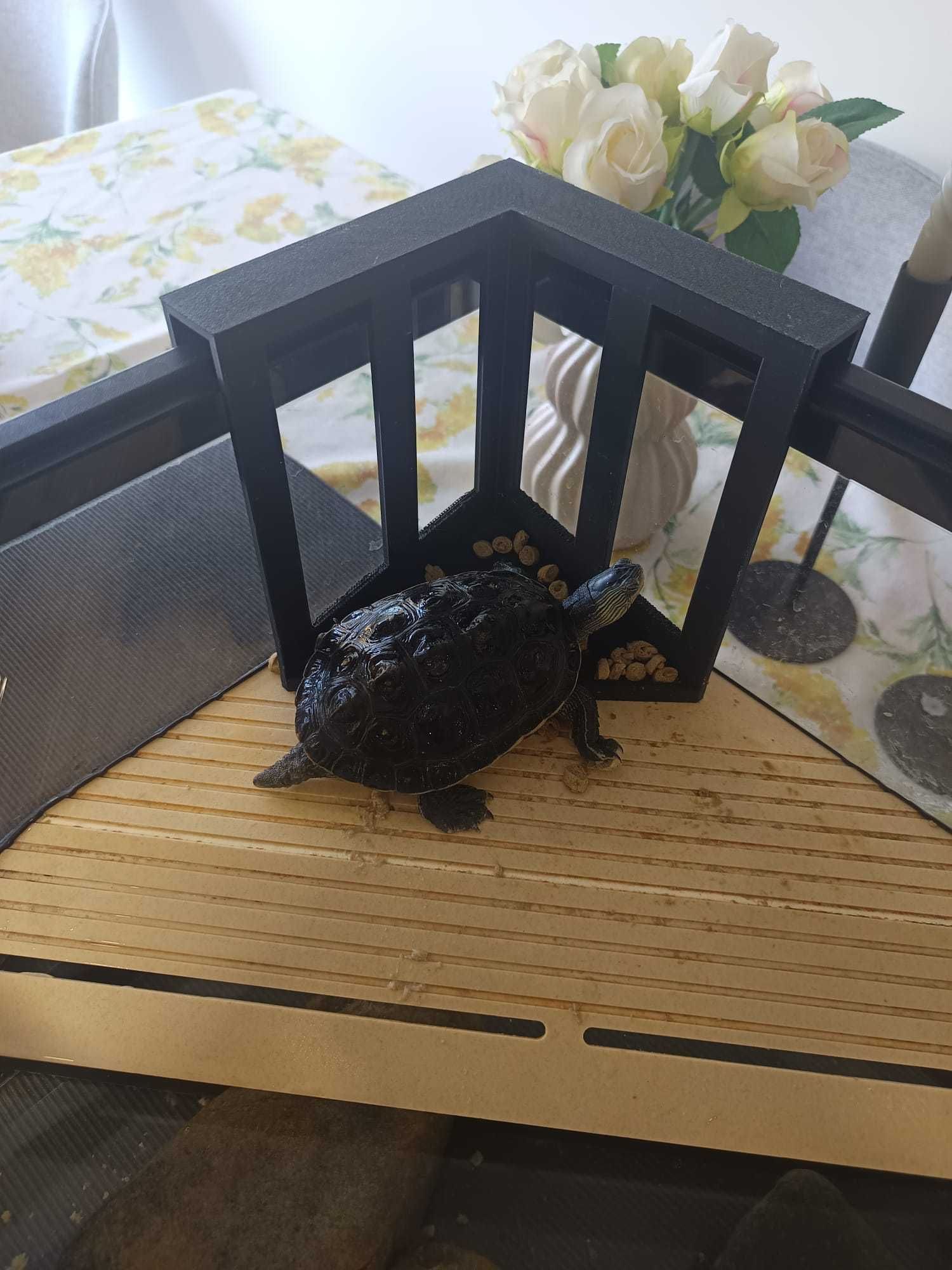 Vendo aquário para tartarugas com filtro