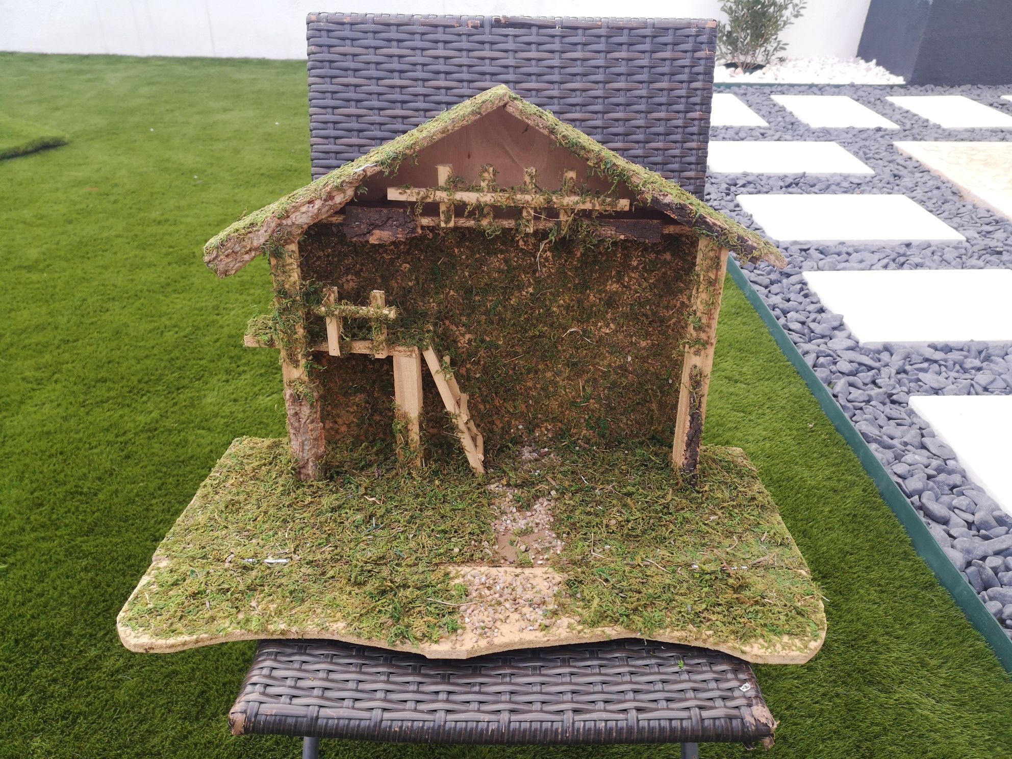 Cabana de madeira e musgo