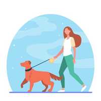 Dog walking e Pet sitting ( PRECOS NA DESCRIÇÃO )