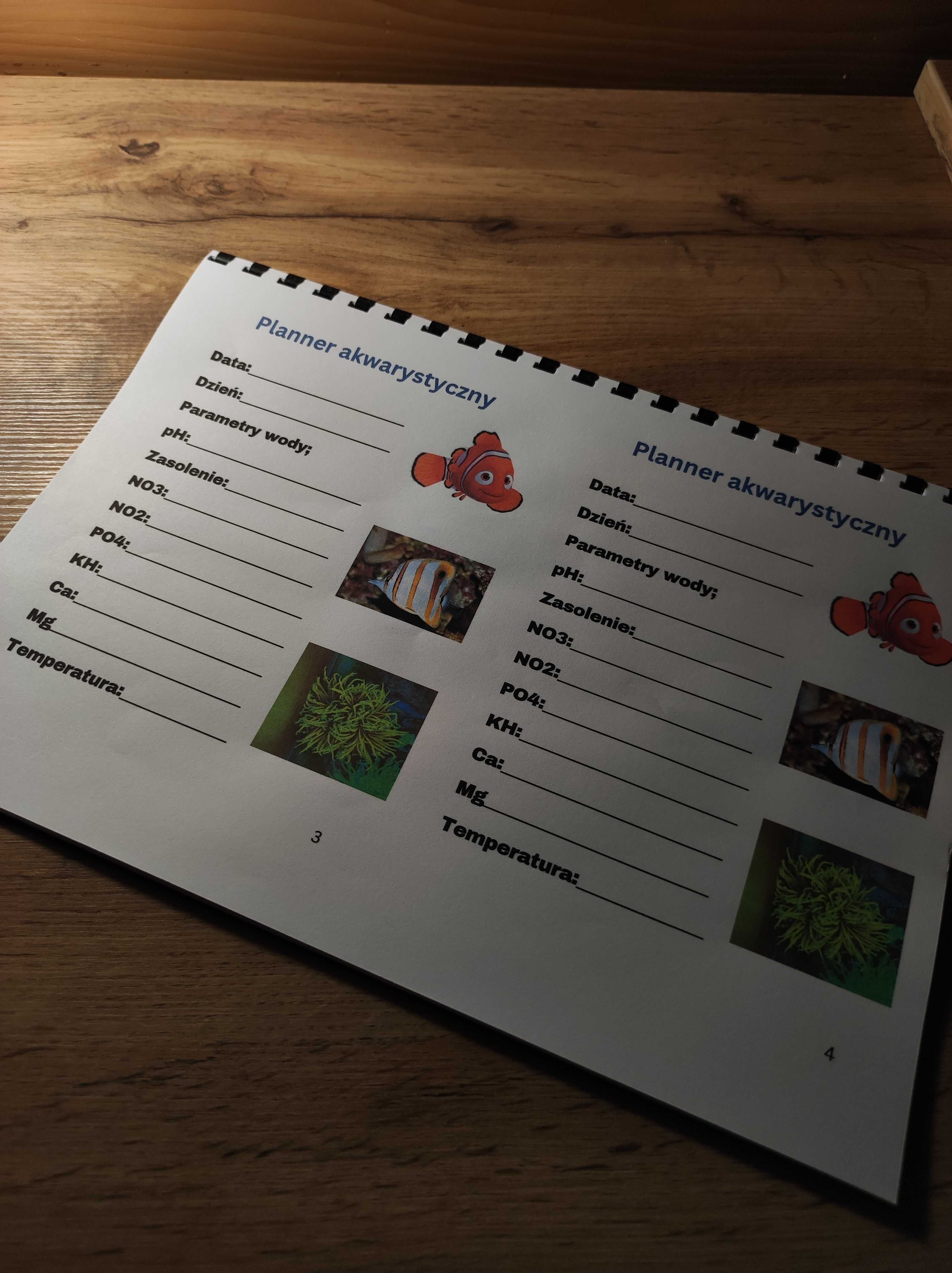 Planner akwarystyczny - akwarium morskie dla początkujących