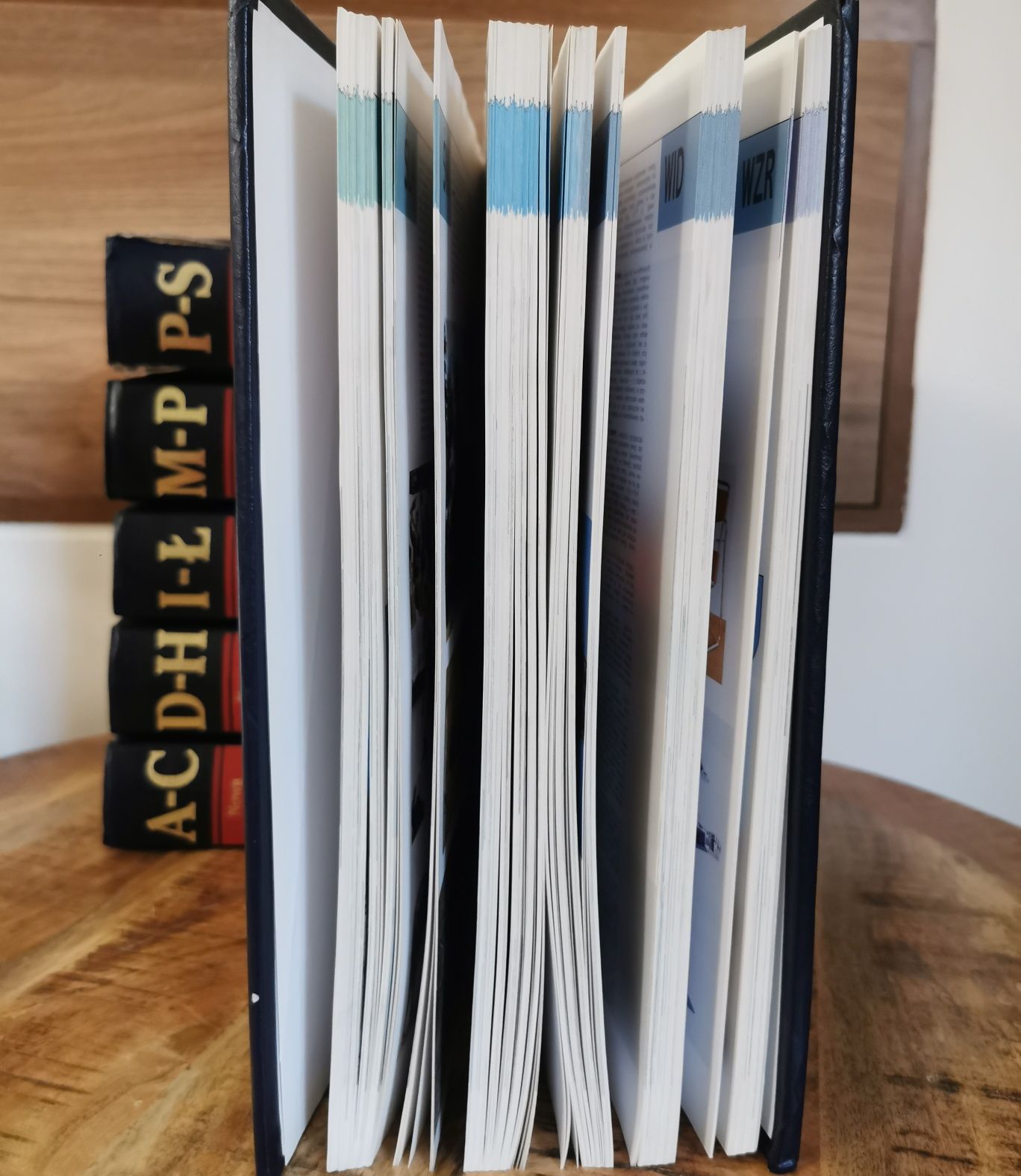 Encyklopedia powszechna PWN hasła od A do Z
