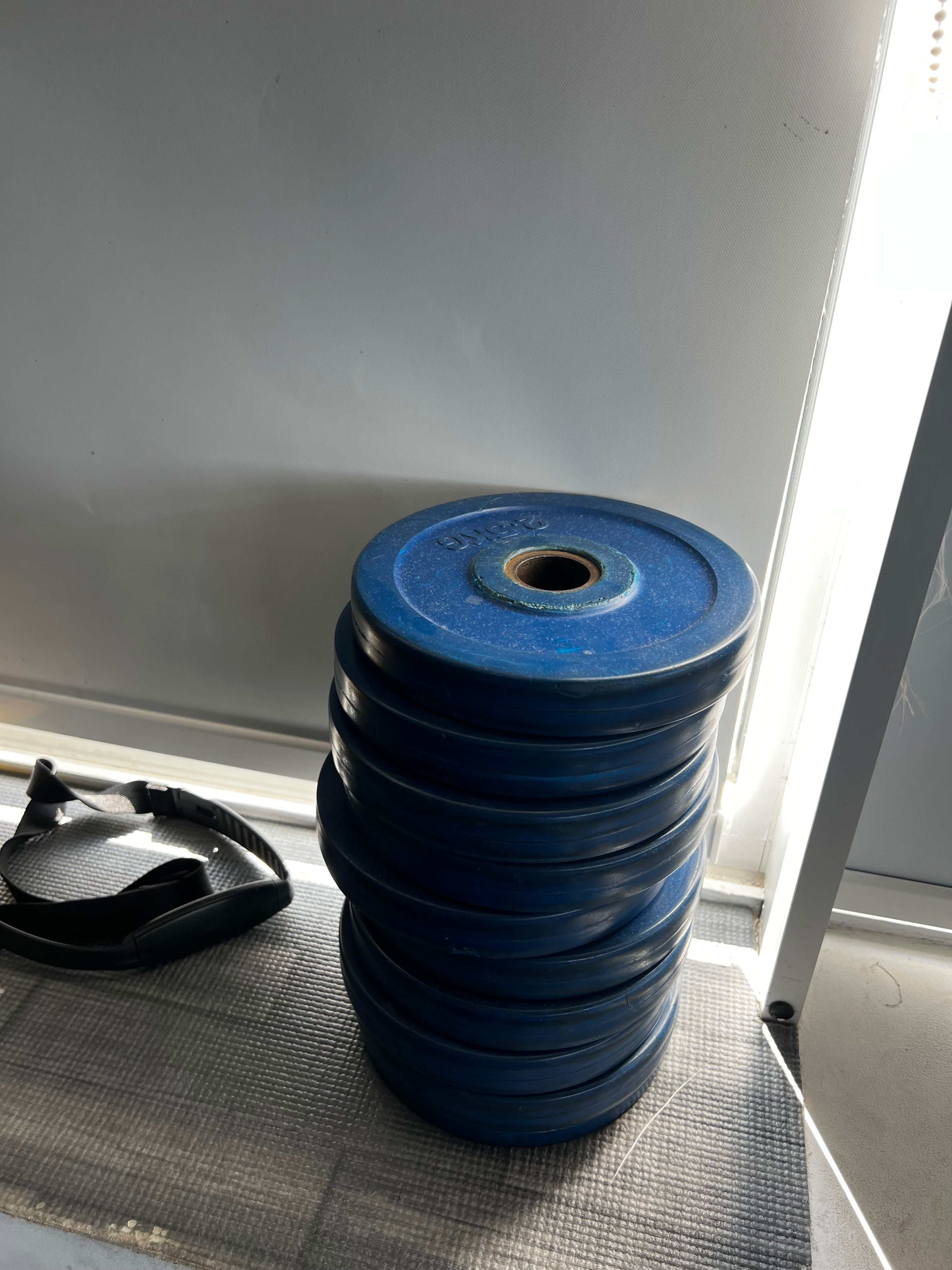 Discos de ferro1,25/2,5kg